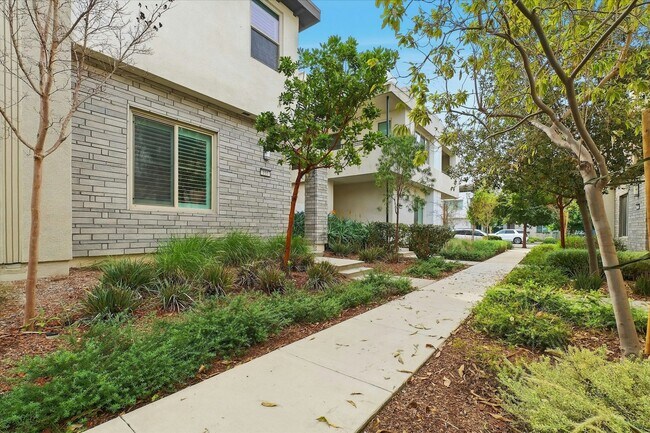 Photo - 155 Spectacle