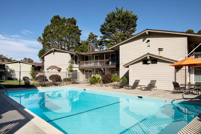 Photo - Crystal Springs Terrace Apartments