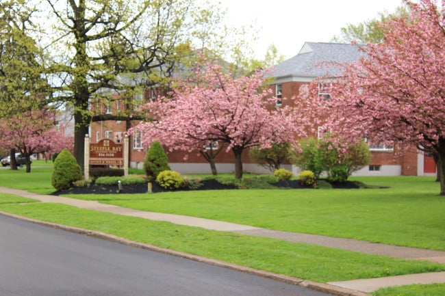 Courtyard - Steeple Bay Estates Rental