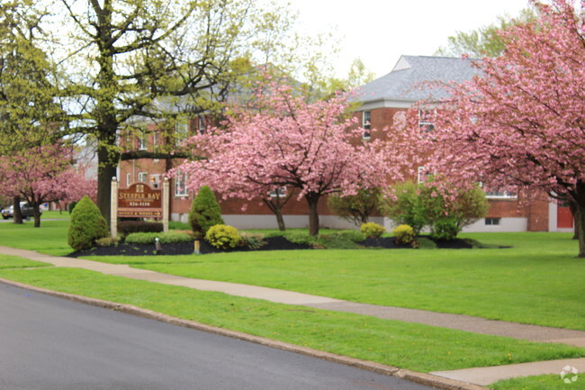 Courtyard - Steeple Bay Estates Rental