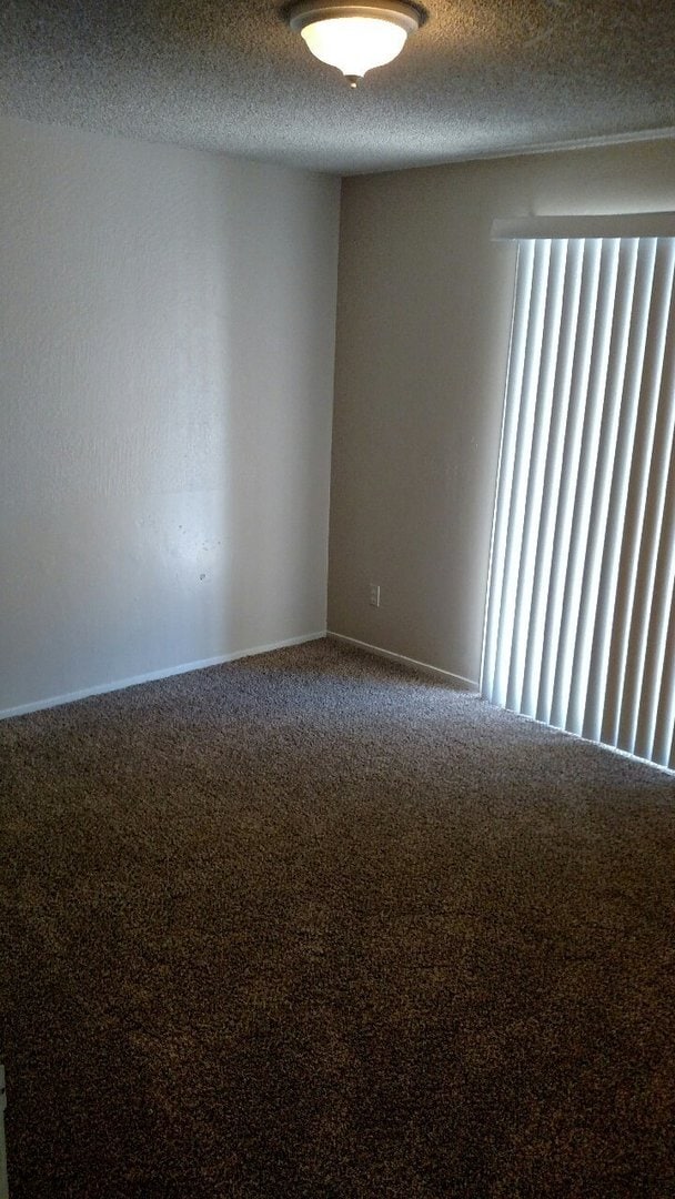 Photo - Available Soon!