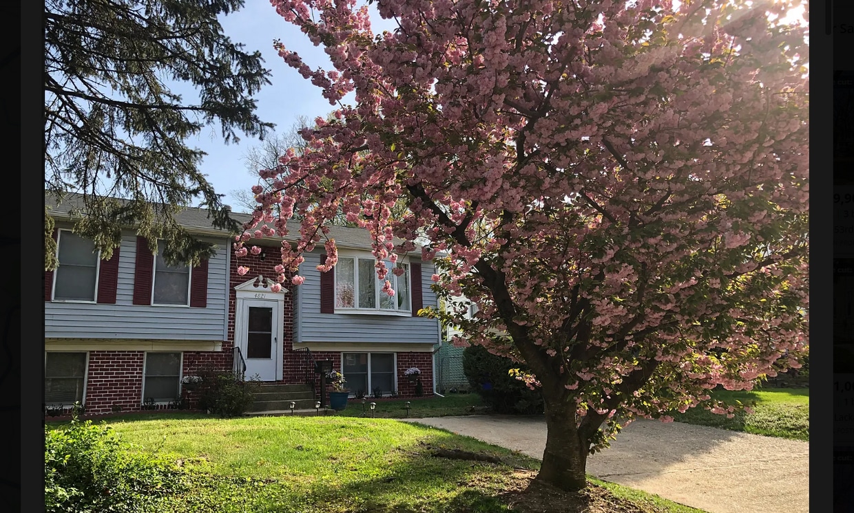 Photo - 4821 Fox St (College Park, MD)