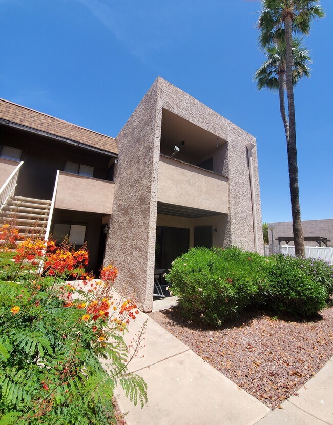 Apartments for Rent in Chandler, AZ