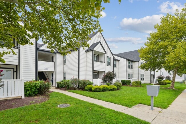 New Forest Apartments