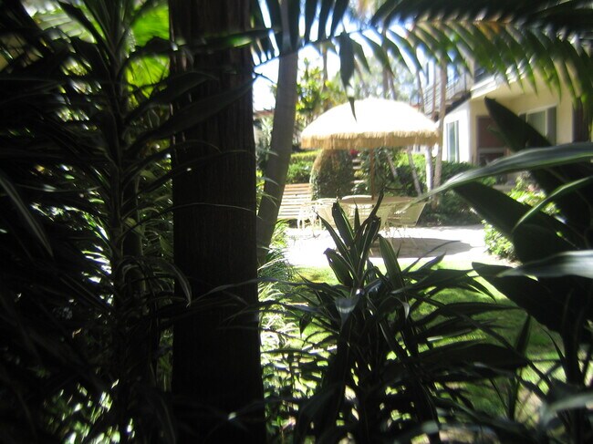 Photo - Palms Apartamentos