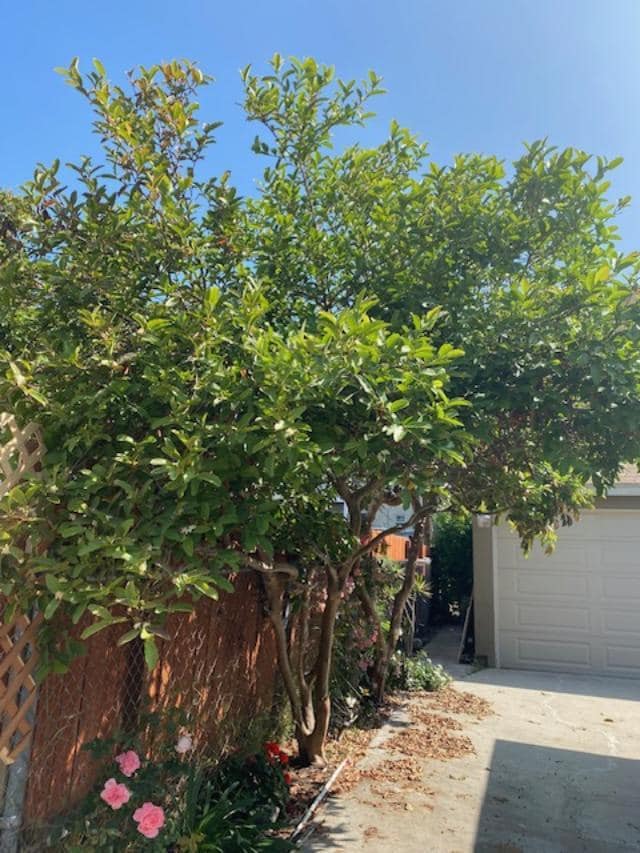 Photo - 1619 W 11th Pl Unidad 1617 W. 11th Pl