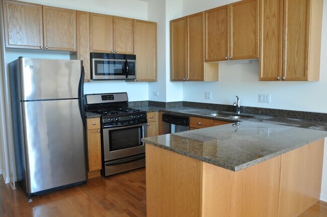 1464 S Michigan Ave Unit 2306