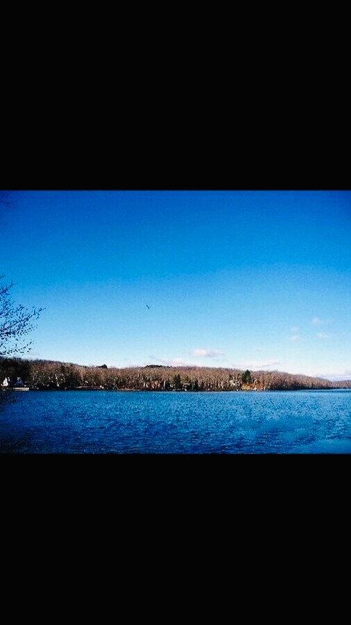 1409 Briscoe Rd Rental House Rental in Swan Lake, NY