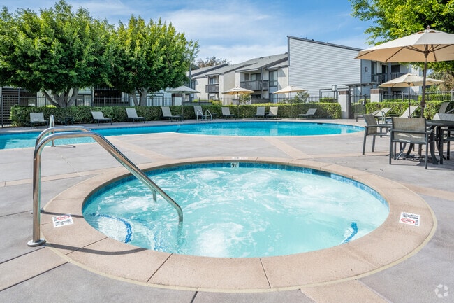 Pool and Spa