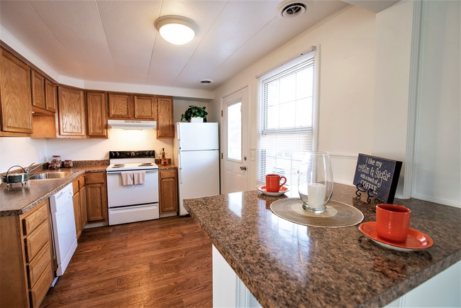 Kichen - Saddle Club Rental