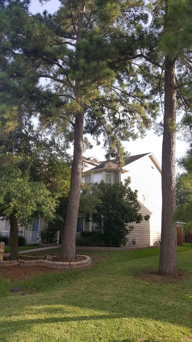 Friendly Neighbors, family atmospheres, children playground. Close to amenities & expressways. - 23619 Twisting Falls Drive