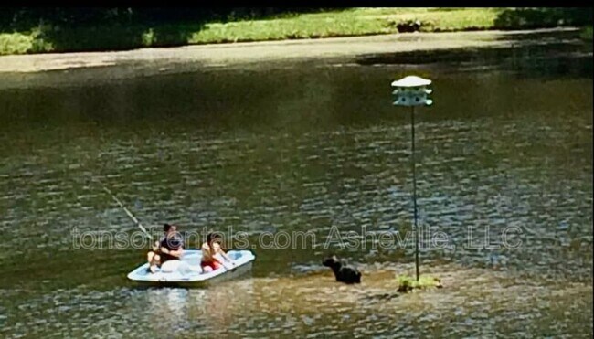 Photo - 4 Coma Lk Ln