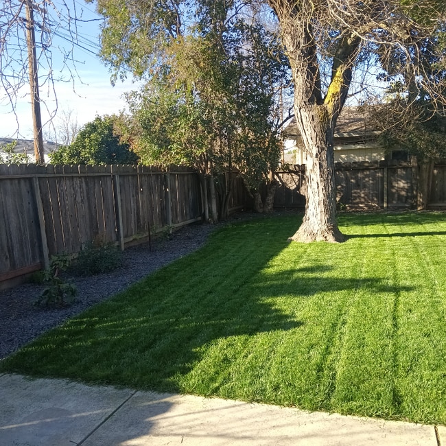 Photo - 1825 College Ave