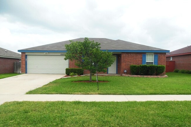 Building Photo - 4600 Hank Dr