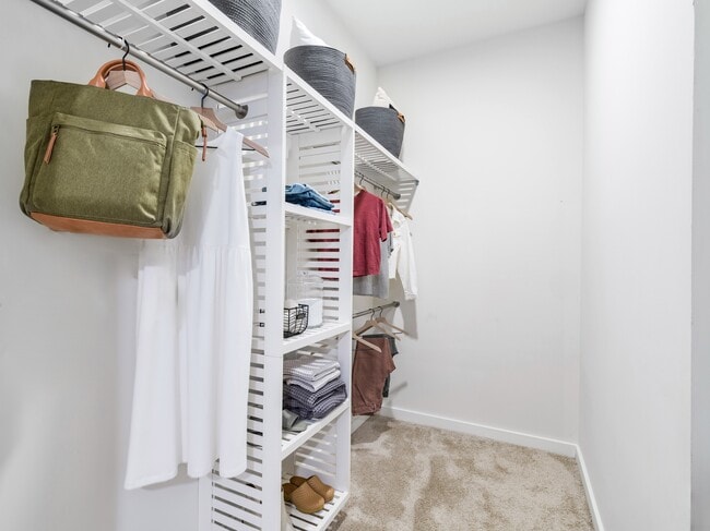 Spacious closets with custom shelving.
