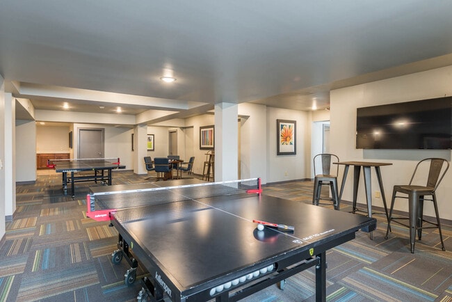 The Fields
