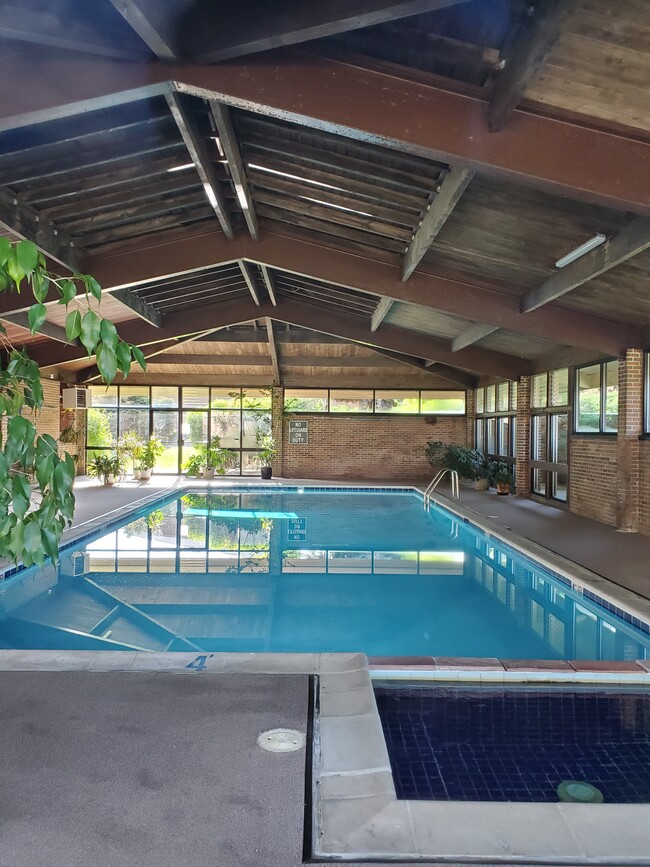 Indoor pool and hot tub - 5126 Williams Fork Trl Apartamentos Unidad 208