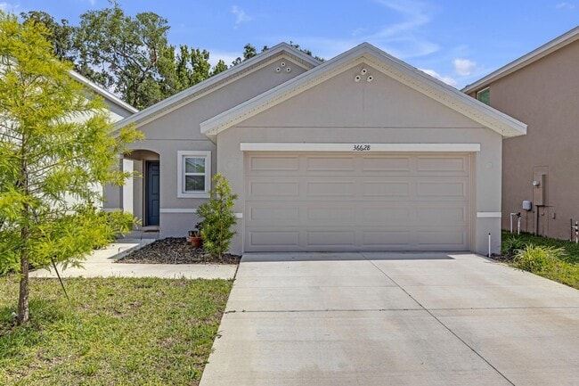 Building Photo - 36628 Spanish Rose Dr Rental