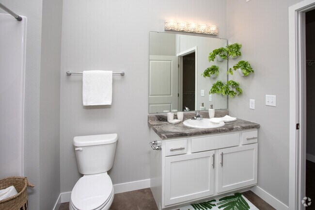 1BR, 1BA, Nova - 810SF