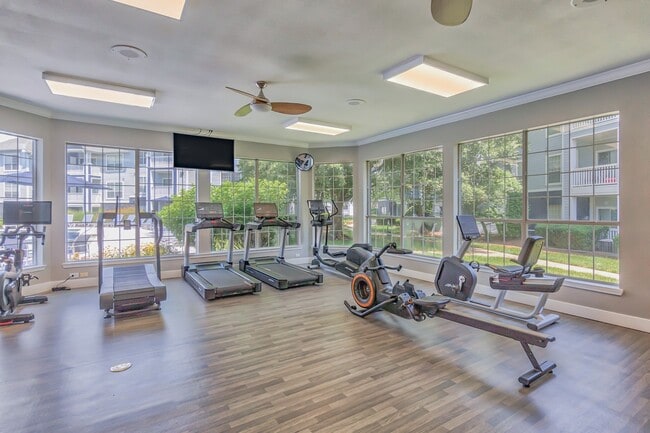 An abundance of cardio equipment