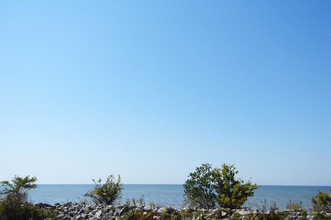 Photo - Haltere at New Orleans