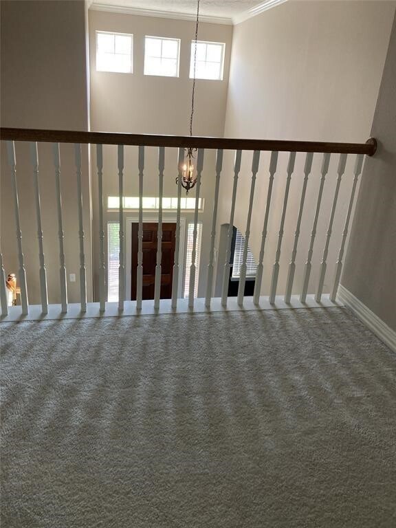 Photo - 3506 Ewing Dr