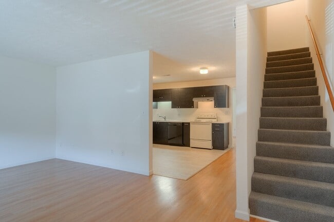 Photo - 4 bedroom / 2 1/2 Bath. Undergrad Welcome. Off Street Parking, Bus Route