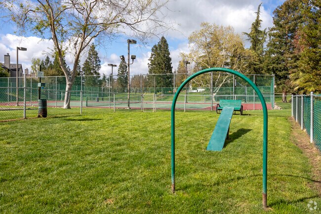 Dog Park