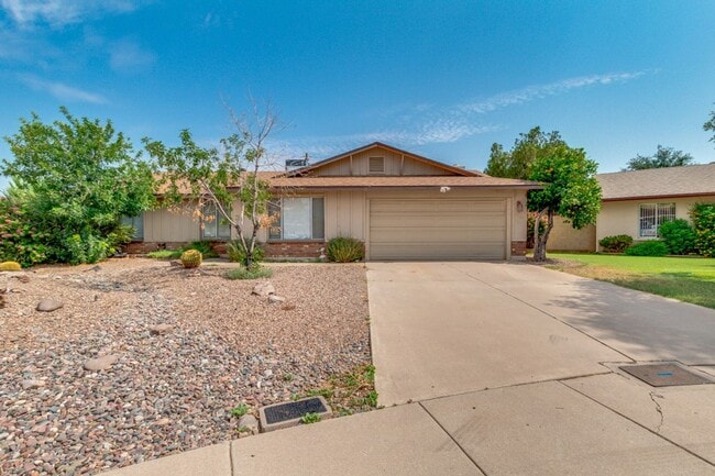 Photo - CUSTOM 3 BEDROOM TEMPE HOME WITH NEW FINIS...