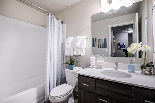 Photo - Knol Apartments