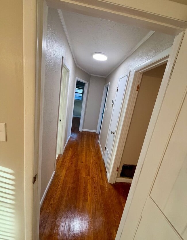 Photo - 623 Maynard Dr