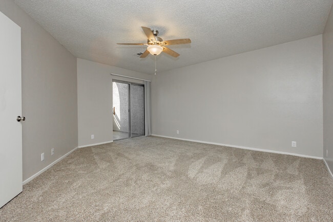 Photo - Sequoia Meadows