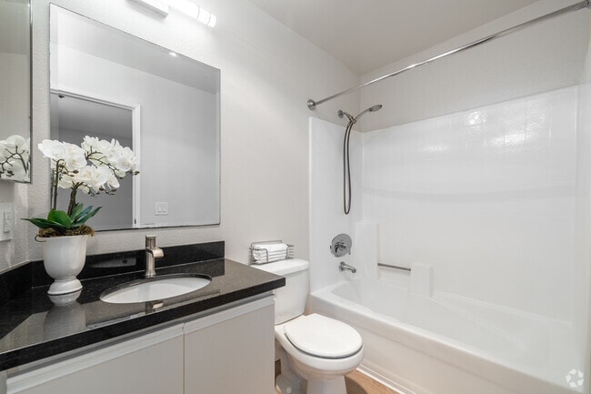 2 habitaciones, 2 baños - 1000 pies cuadrados - Baño - Palm Court Apartments