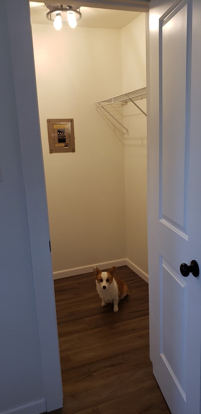 Photo - HomeTown Studios