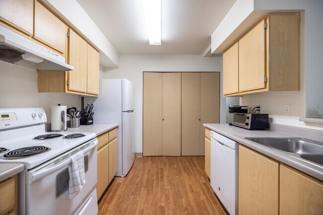 Photo - Allegro I103