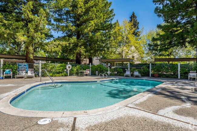 Pool - Woodside Creek