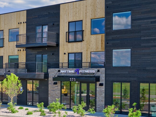 Photo - The Larkspur