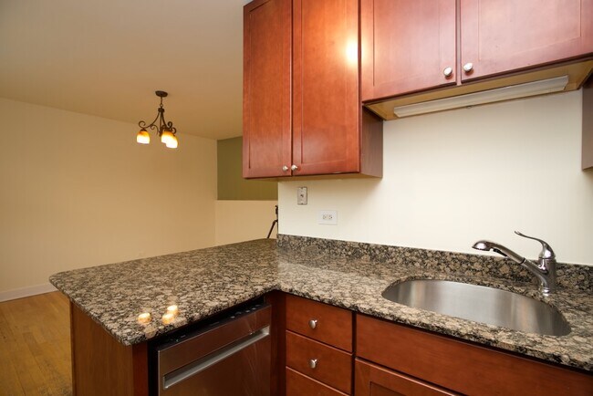 675 W Wrightwood Ave Unit 205