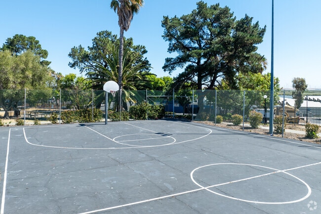 Cancha de baloncesto - Marina Heights Apartments