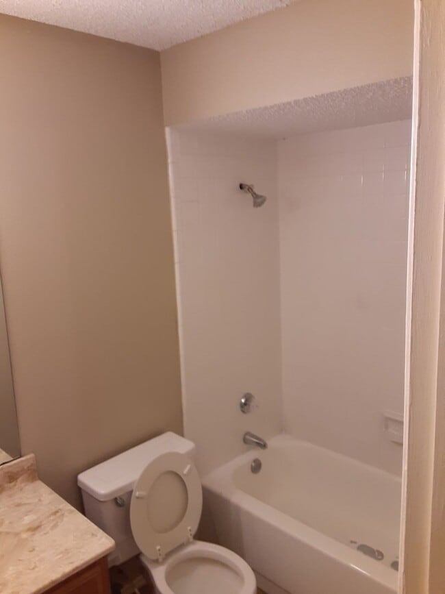 Photo - Ready to move in.....