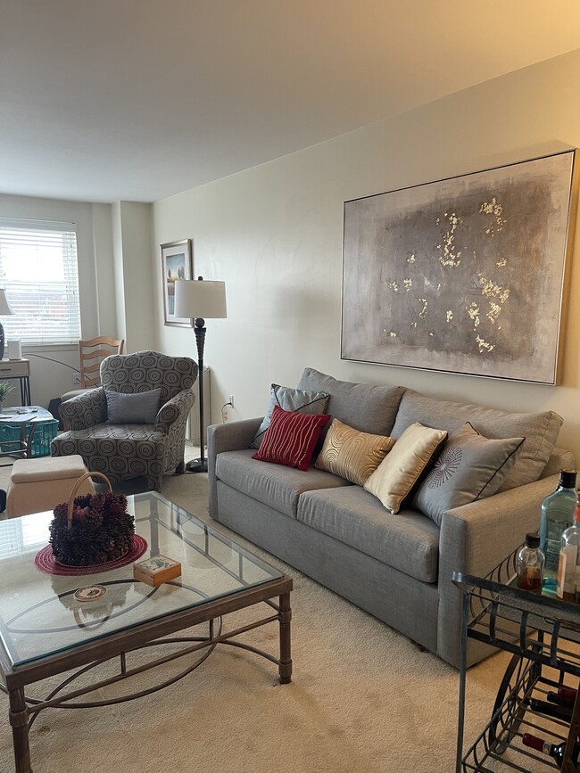 Living Room with Queen sized sleeper sofa - 893 Farmington Ave Unit 4F