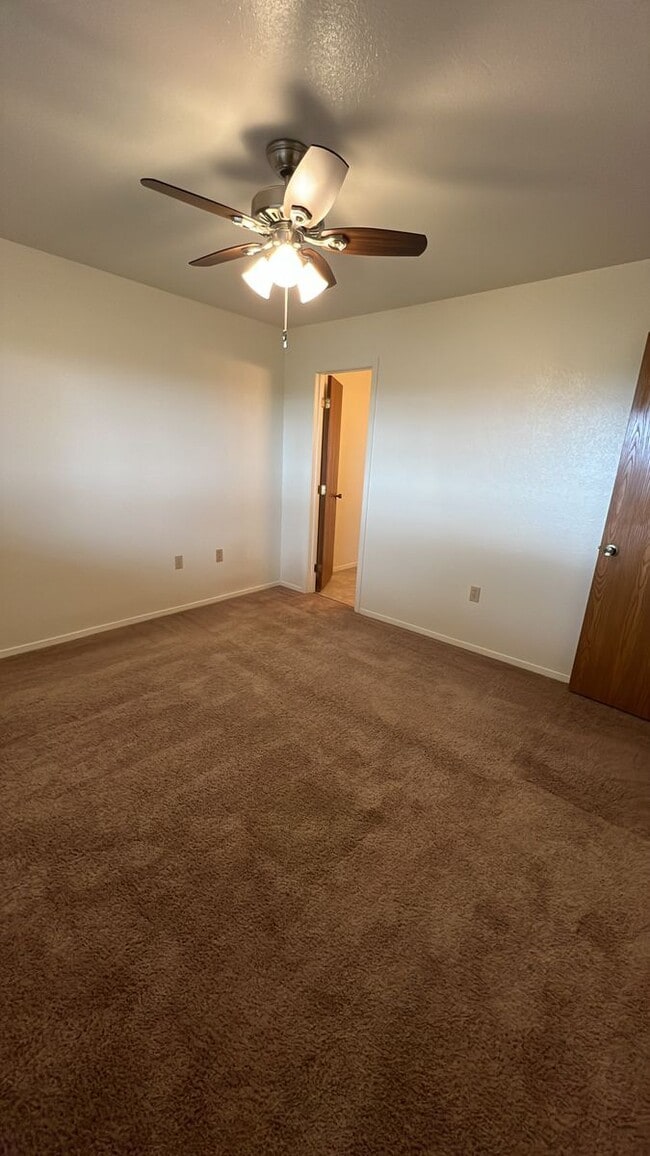 317 Black Elk Ct