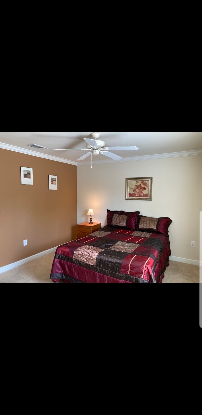 iq apartments usf on Y7bxaxjdugazfm