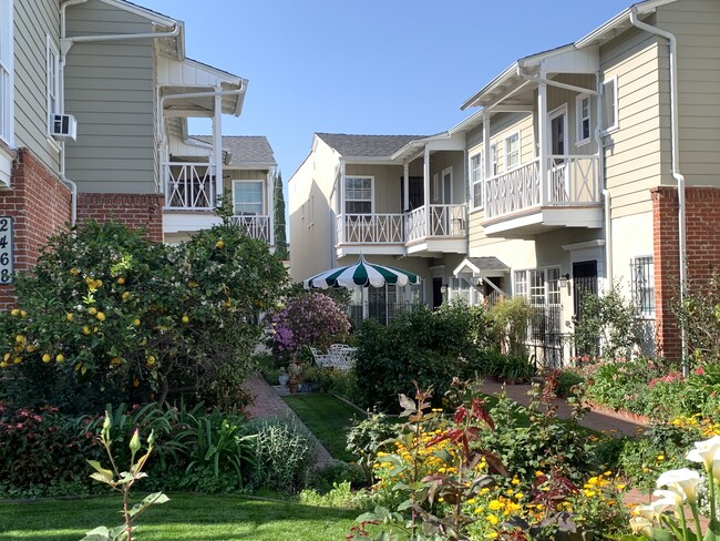 Courtyard - 1054 Masselin Ave