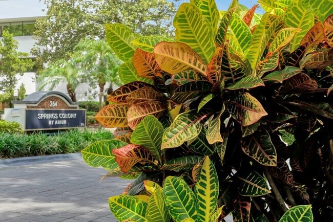 Photo - Springs Colony by ARIUM