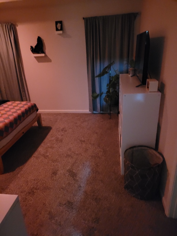 Photo - 327 Webster St