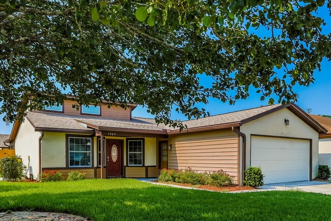 Photo - 1967 Blue Bird Run W