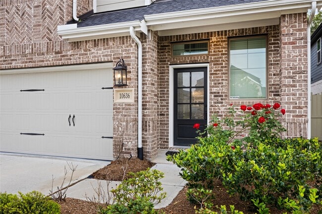 Photo - 10636 Wild Chives