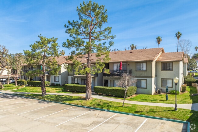 The Colony - The Colony