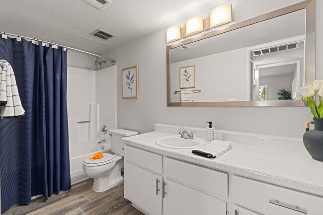 1BR, 1BA - 560SF - Bathroom